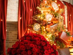 m_wed1130さんの画像2枚目