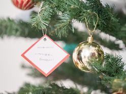 christmas.weddingさんの画像2枚目