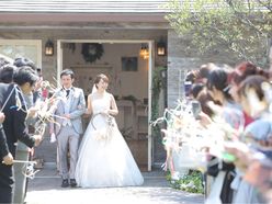 shima180408さんの画像3枚目