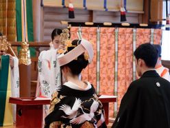 stella5705さんの画像1枚目