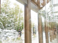 yn_wedding0317さんの画像1枚目