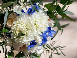 おかえりさんの画像3枚目