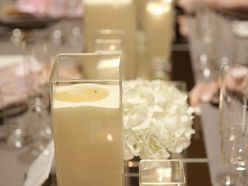 trunk_vi_wdさんの画像3枚目