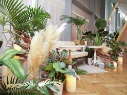 fanfanさんの画像3枚目