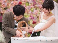 tomomiさんの画像1枚目