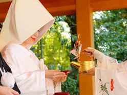 rumi_wdngさんの画像1枚目