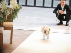 himachan_dayoさんの画像2枚目