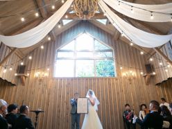 uka_wd11さんの画像1枚目