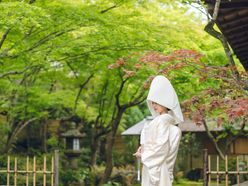 muguet1maiさんの画像2枚目