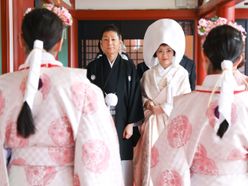 terakoさんの画像1枚目