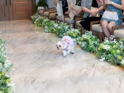 ___821.aさんの画像2枚目