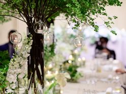 chii_weddingさんの画像2枚目