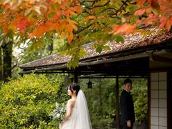 _ndwd_さんの画像3枚目