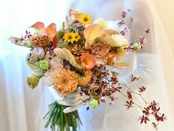 ruikombuさんの画像3枚目