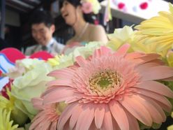 nicoyossyさんの画像2枚目