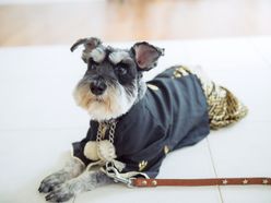 m.syunaさんの画像2枚目