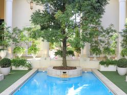 r1ek0_714さんの画像2枚目