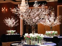 aoh_weddingさんの画像2枚目