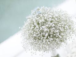 hrkaaa15さんの画像3枚目