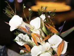 sharomi2019さんの画像2枚目