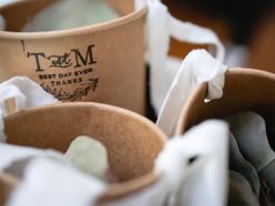 t_wedding_mさんの画像2枚目