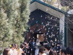 youca0219さんの画像1枚目