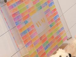 ___ksm.wdさんの画像2枚目