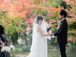 miyu.n.0306weddingさんの画像1枚目