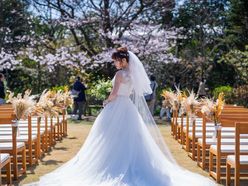 momo_wd_0319さんの画像3枚目