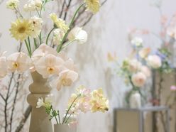 yu_trunk_さんの画像2枚目