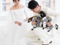 ym1010.wdさんの画像2枚目