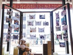 nuuu456さんの画像2枚目