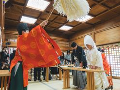 m&mさんの画像1枚目