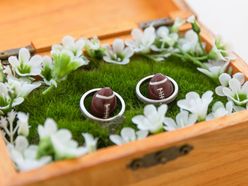 wd_momo0617さんの画像2枚目