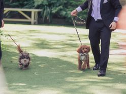 shiokarubiさんの画像2枚目