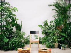 bao_wdさんの画像1枚目