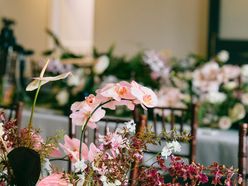 bao_wdさんの画像3枚目