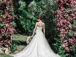 aamm_wd_さんの画像3枚目