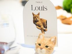 y.c__wdさんの画像2枚目