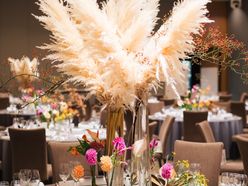 moe_palace_さんの画像2枚目