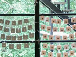 wd____koishiさんの画像2枚目