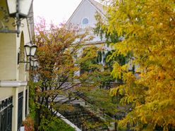 じゅらさんの画像1枚目