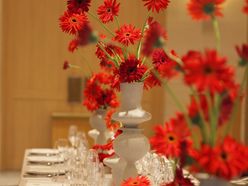 trunk_1amさんの画像2枚目