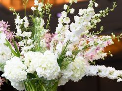 _nocha33さんの画像3枚目