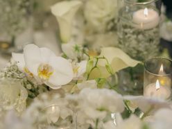 ohk_wd7さんの画像2枚目