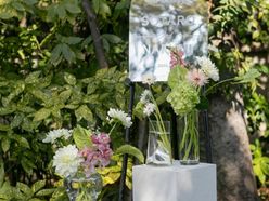 26a_naruさんの画像2枚目