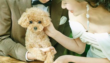 【ペット婚プラン】大切な家族と一緒に*「挙式＆パーティ」どちらもOK♪ワンちゃんの食材制限にも対応★