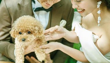 大切な家族との結婚式が叶うペット婚プラン