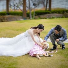 愛犬と撮影ができるフォトプラン