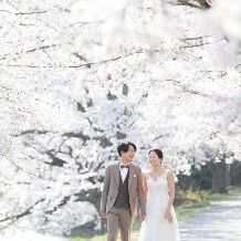 【2027年3~5月】憧れの桜&新緑を最優先確保!早割特典×じっくり準備で叶える春ウエディングプラン